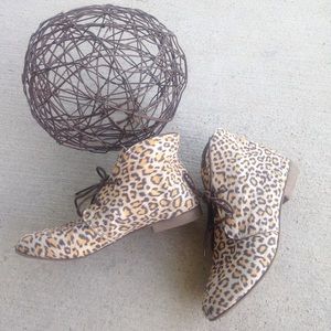 SOLD Breckelle's Leopard Ankle Booties Boots